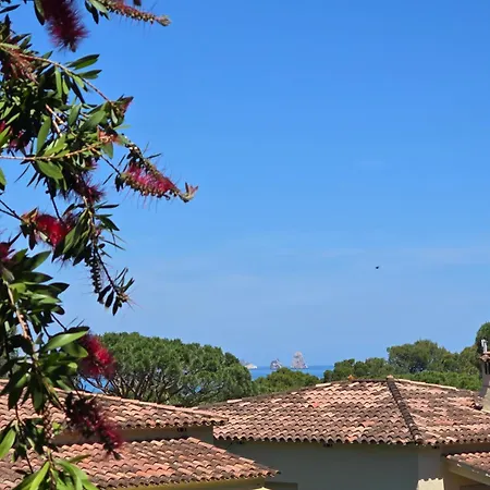Kisa Isla Roja